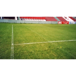 boisko do piłki nożnej i rugby